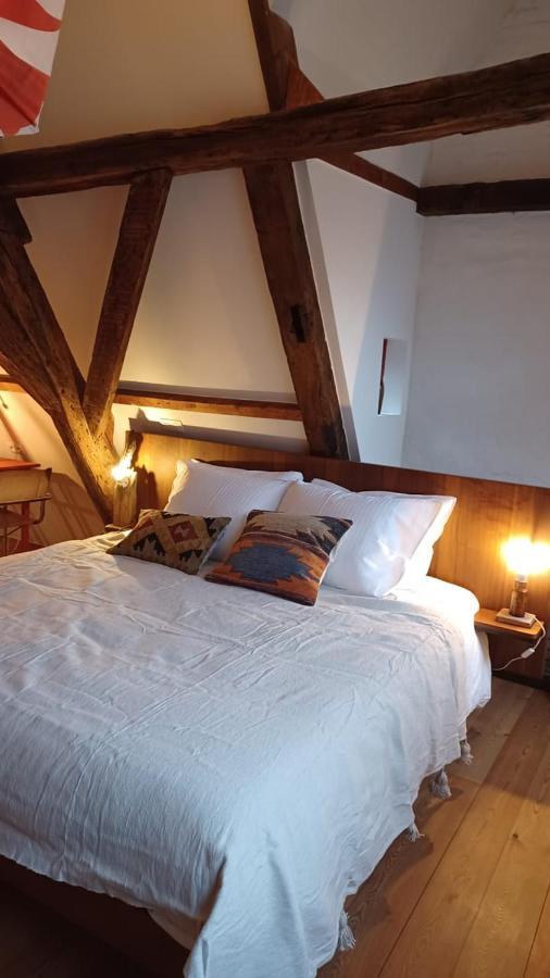 De Zomere B&B Brugge Bagian luar foto