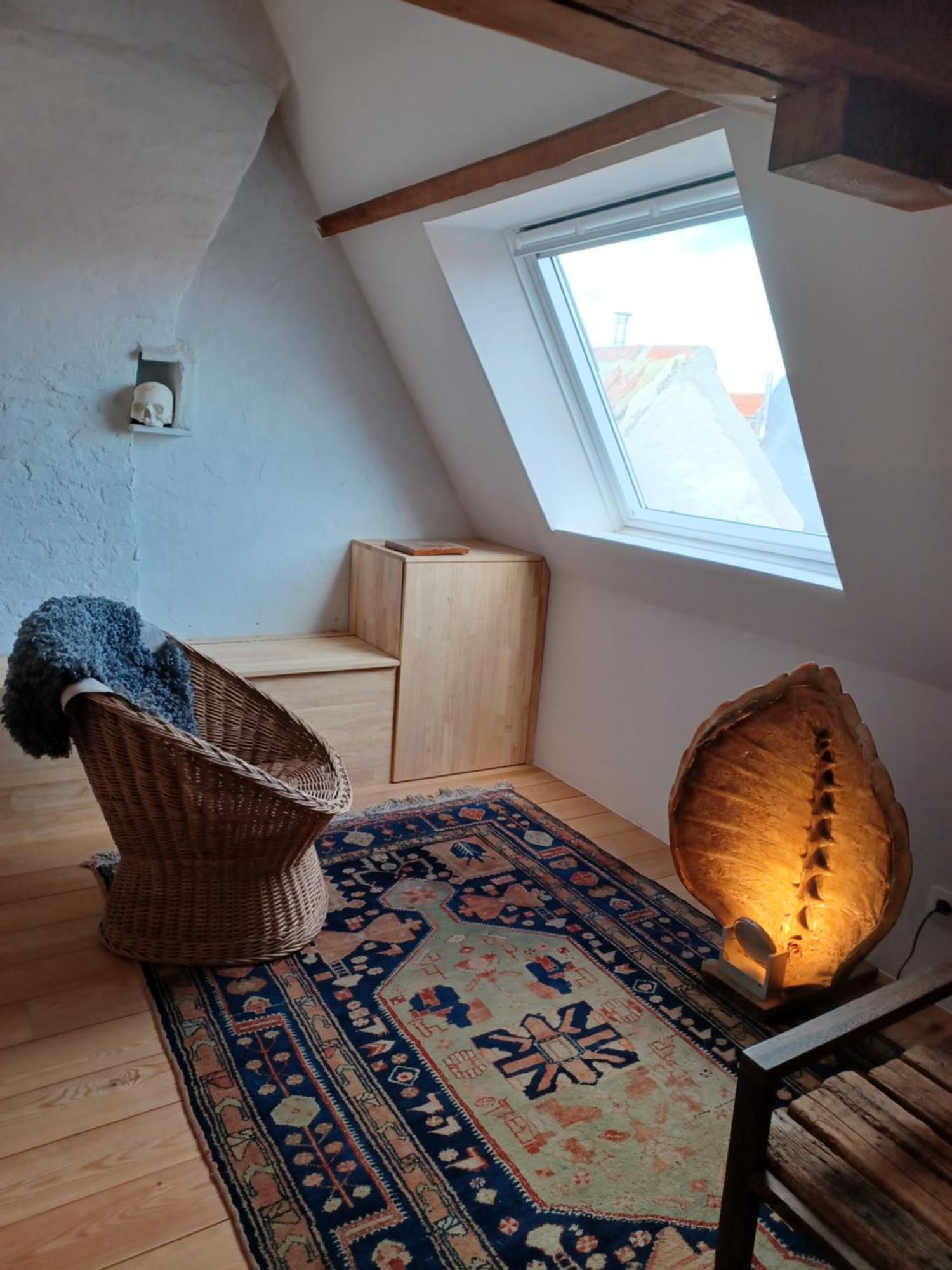 De Zomere B&B Brugge Bagian luar foto